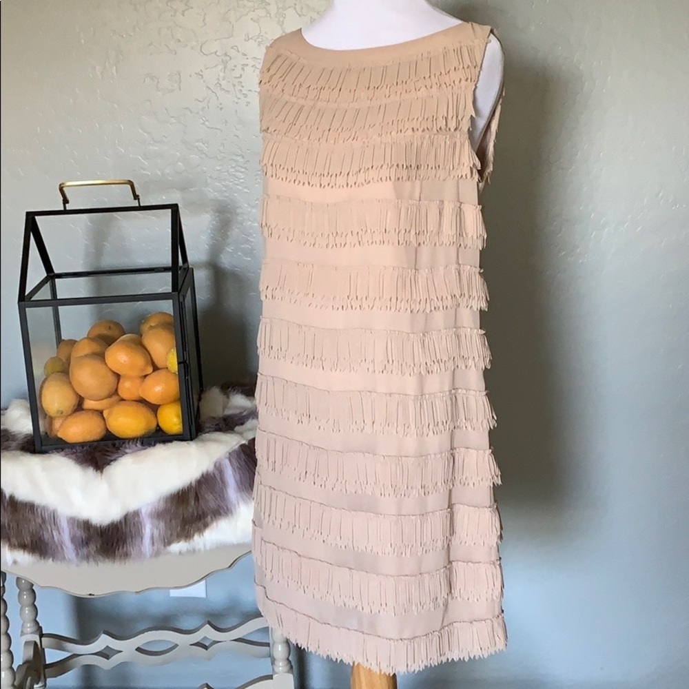 Ann Taylor Chiffon Fringe Sheath Dress NWT